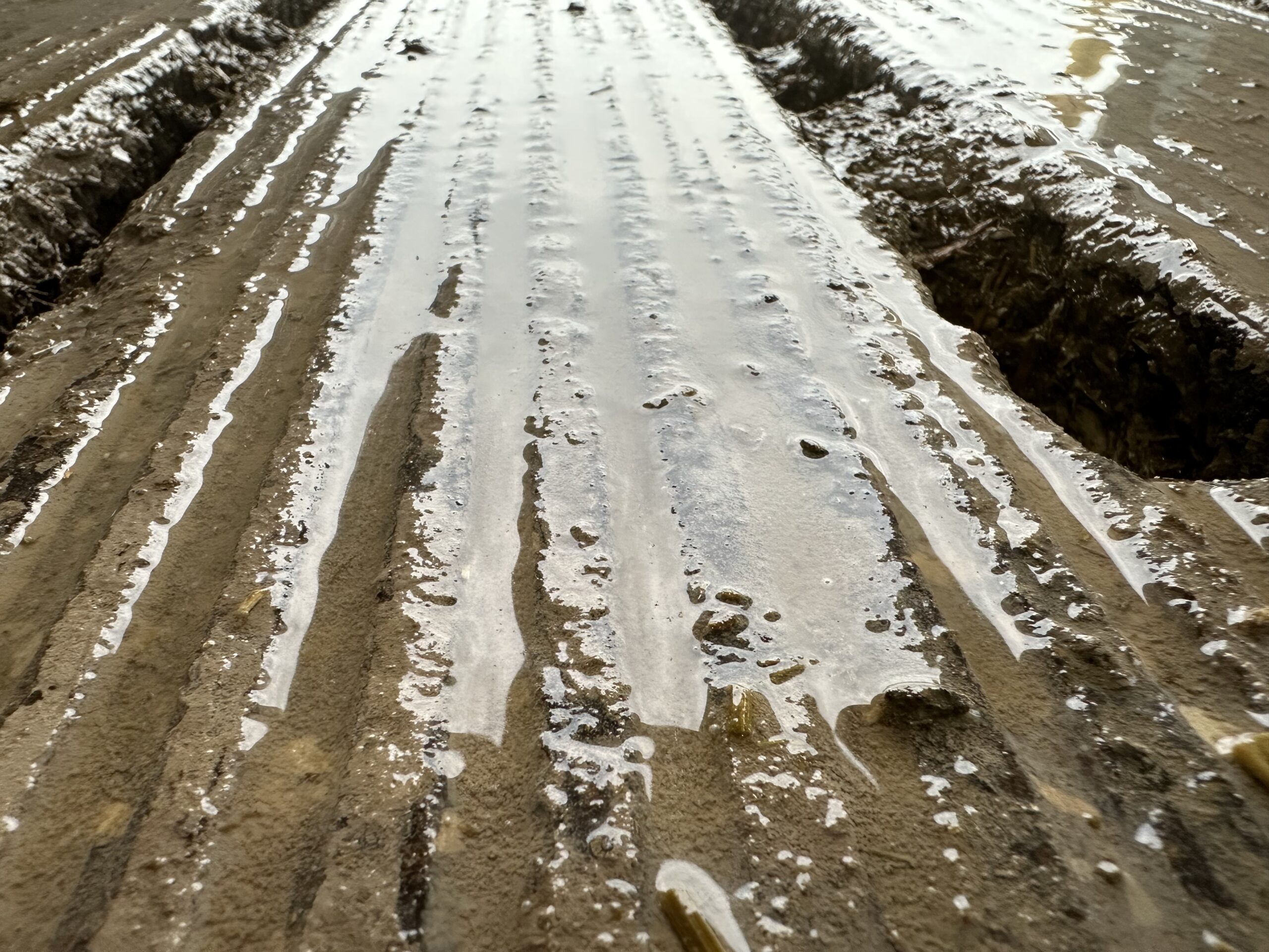 close up of barn floor. Turtle Lake, WI